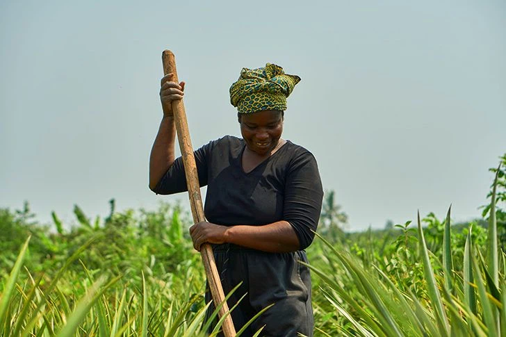 Ananas-Farmerin in Ghana (©HPW)