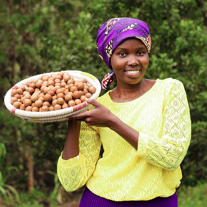 Farmerin Leah bei der Macadamia-Ernte (© Limbua)